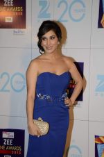 Sophie Chaudhary at Zee Awards red carpet in Mumbai on 6th Jan 2013,1 (55).JPG